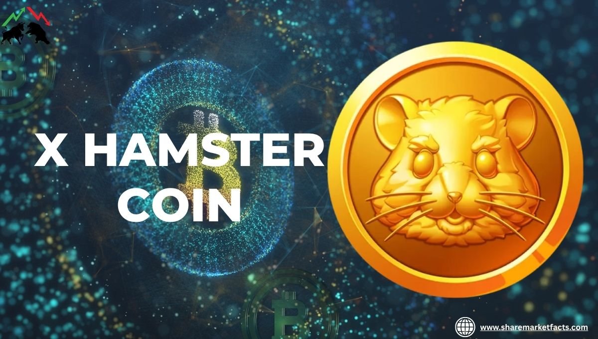 X Hamster Coin Price In India Live Updates 2026 Forecast X Hamster Coin Price In India Live Updates 2026 Forecast